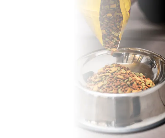Feed Ingredients