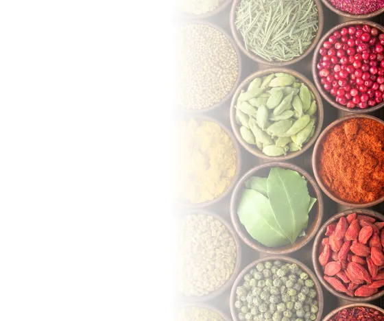 Food Ingredients